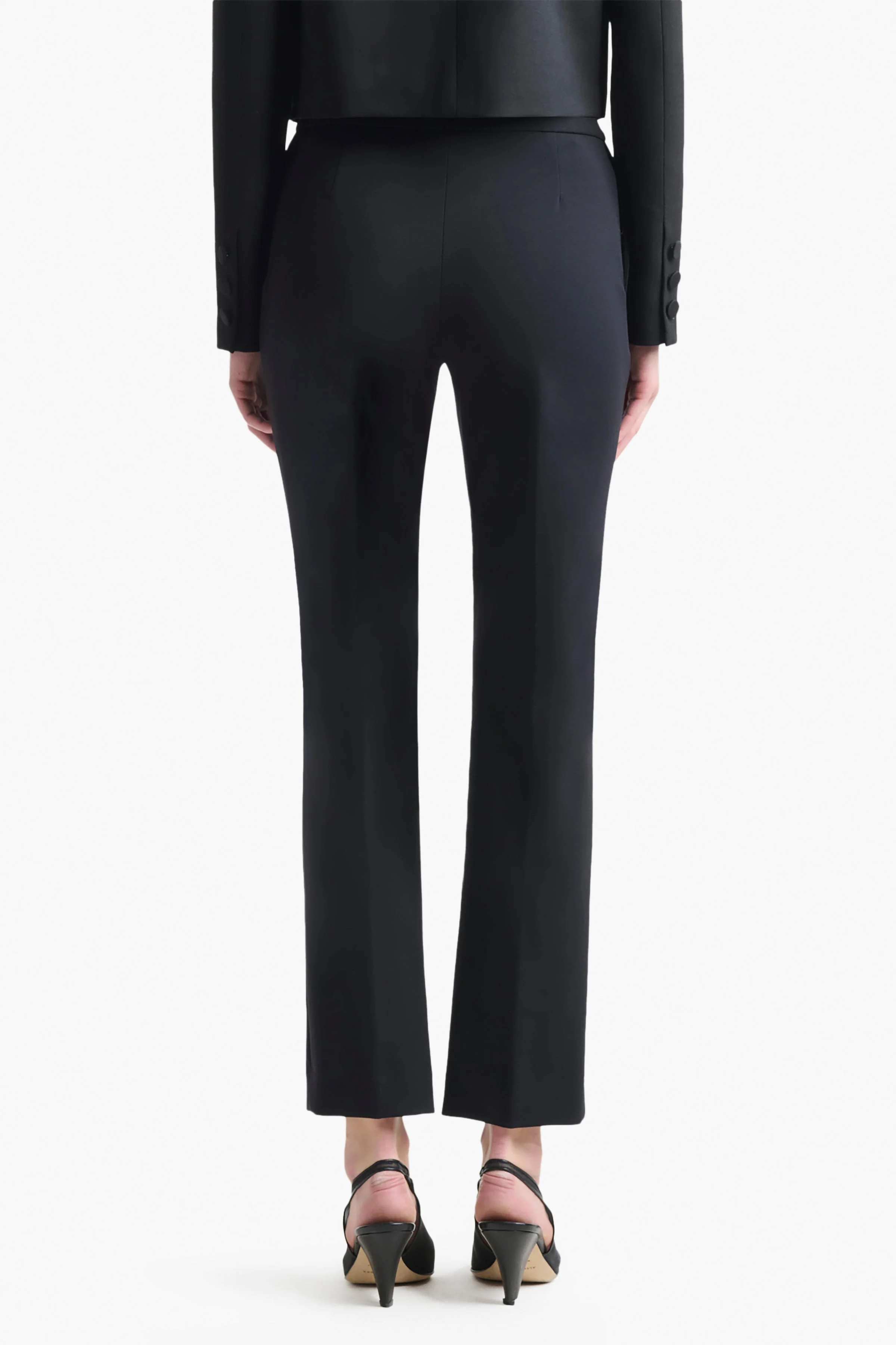 Todd Pant - Image 5